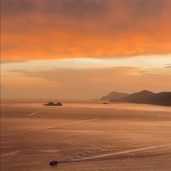 Meet your Posher, Terri - Picture 3 of 16